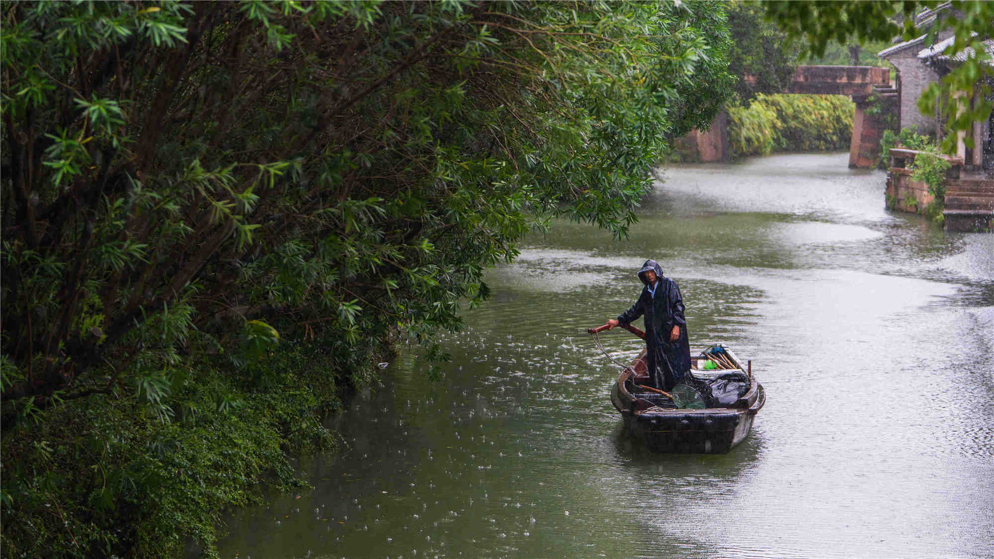 20210913西柵雨景 (7)_副本_副本_副本.jpg